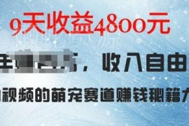 萌宠赛道AI宠物兔视频项目拆解 9天收益4800元实操玩法指南