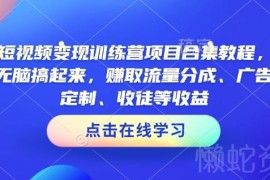 2025AI短视频变现训练营教程合集 多玩法赚流量广告收徒等收益