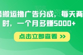 视频号搬运撸广告分成实操方法 每天2小时月入5000+玩法详解