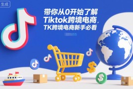 TikTok跨境电商零基础入门指南 新手运营全流程实操教程