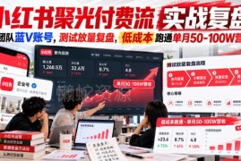 小红书聚光付费投放实战复盘 小团队蓝V低成本跑通单月百万营收