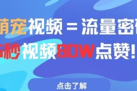 AI制作萌宠短视频玩法详解 5秒作品获80万点赞零门槛可上手