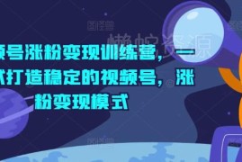 视频号涨粉变现训练营 从内容制作到私域变现全流程教学