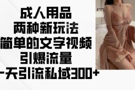 成人用品私域引流实操技巧 文字视频图文玩法日引精准流量300+