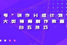 视频号创作分成计划2.0 四类视频制作及小白实操技巧教程