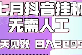 2025年7月最新抖音挂G撸金项目解析 小白易上手单号收益2k+