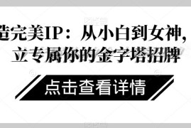 女性个人IP打造系统教程 从小白到搭建专属高价值个人品牌