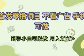无需看广告的手机零撸项目详解 新手小白可操作月入可达3000
