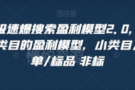 淘系极速爆搜索盈利模型2.0 各品类店铺运营实操技巧教程