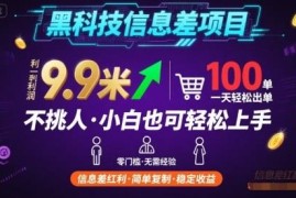 适合新手小白的低门槛信息差副业 一单利润9.9单日可轻松出百单