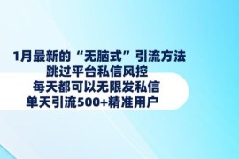 2025年1月最新小红书私信引流方法 跳过风控日引500+精准用户
