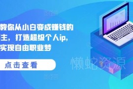 零基础成为创业博主打造个人IP 全流程实操实现自由职业