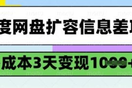 百度网盘扩容信息差零成本项目 新手3天变现千元实操全流程