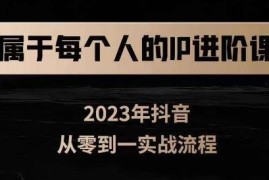 2023全新个人IP进阶课 零基础短视频从0到1实操学习教程
