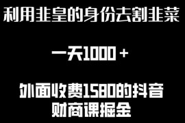 利用韭皇身份倒卖付费课程实操玩法 日入千元附配套资源