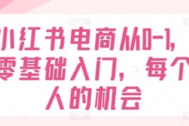 零基础小红书电商从0到1入门 开店运营全流程实操教程