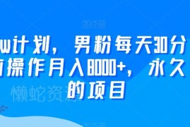 2024尤物计划男粉实操项目 每天30分钟可长期运营月入8000+