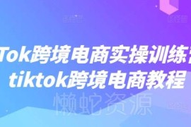 2025TikTok跨境电商实操训练营 从入门到落地全流程教程