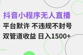 2024抖音小程序合规无人直播玩法 小白可轻松上手获稳定收益