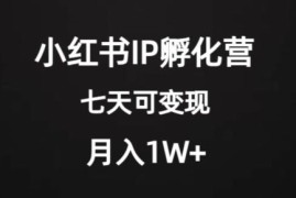 小红书IP孵化营项目实操拆解 新手低门槛起号变现全教程