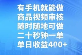 手机可操作的商品视频审核副业 无地点限制收益模式详解