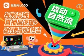 视频号纯直播底层逻辑拆解 微付费撬动自然流实操教程