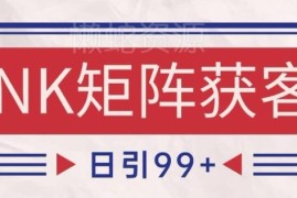 小红书抖音NK赛道引流获客攻略 自热矩阵日引200+实操揭秘