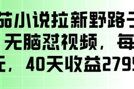 番茄小说拉新无门槛实操玩法 剪视频发作品单佣10元易上手