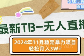 2024年11月淘宝无人直播玩法解析 低门槛带货增收实操指南