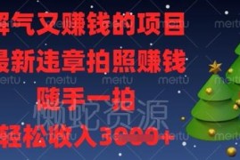 2024违章拍照赚钱项目介绍 随手拍违章即可轻松赚取额外收益