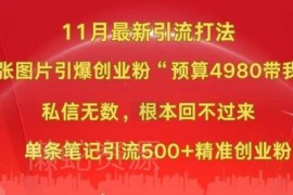 2024年11月小红书偏门图片引流玩法 单条可获500+精准创业粉