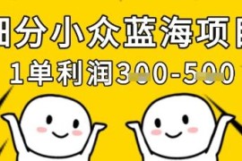 细分小众蓝海正规项目拆解 低门槛易上手可稳定月入过万