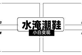 2024年冷门水淹潮鞋无人直播玩法 小白私域变现实操指南