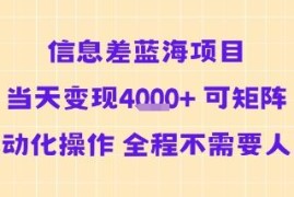 无需人工可矩阵自动化操作 信息差蓝海项目当天即可变现