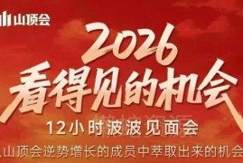 2026年可落地商业机会拆解 波波12小时见面会实战案例分享