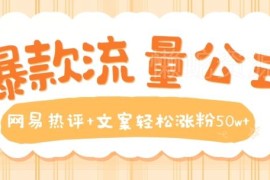 抖音网易热评文案号运营教程 低门槛操作轻松实现快速涨粉