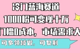 冷门蓝海零成本变现项目解析 千粉即可盈利可多领域复制