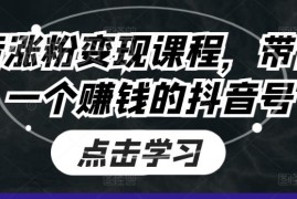 抖音涨粉变现全流程课程 手把手教你打造高收益抖音账号