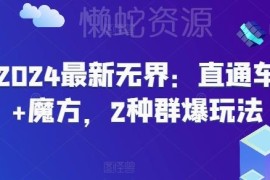 2024无界电商运营干货：直通车与引力魔方2种群爆玩法教学