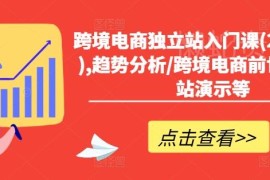 2024跨境电商独立站入门课 含趋势分析选品建站实操演示