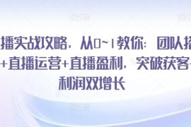 从0到1直播实战全攻略 团队搭建运营盈利实现获客利润双增长