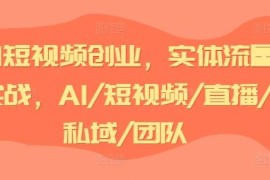 AI短视频创业实体流量实战教程 涵盖AI创业私域团队搭建实操方法