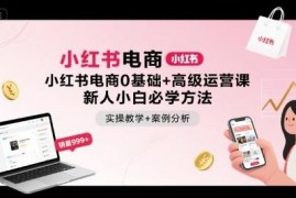 小红书电商0基础到高阶运营教程 小白开店实操带案例解析