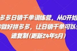 2025年10月更新拼多多运营课 从0打造可复制日销千单店铺