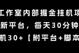 工作室内部未对外掘金挂机项目 新平台低耗时单机稳定日入30+