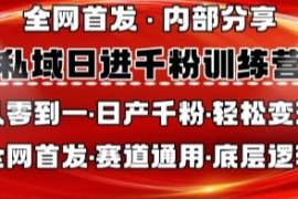 2025私域日产千粉实操教程 全赛道通用从0掌握引流底层逻辑