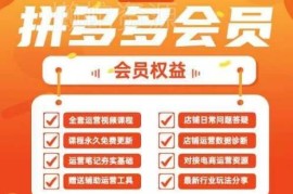 2025拼多多全链路运营实战课 40节新手开店全流程教学