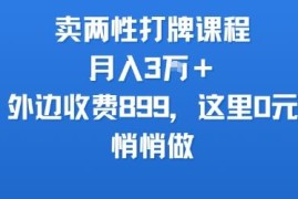 小众两性课程售卖副业实操 月入3万玩法资料免费分享