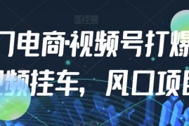 九门电商视频号实操课程 短视频挂车打爆玩法全步骤解析