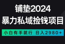适合新手的低门槛私域赚钱项目 零基础操作高收益玩法揭秘